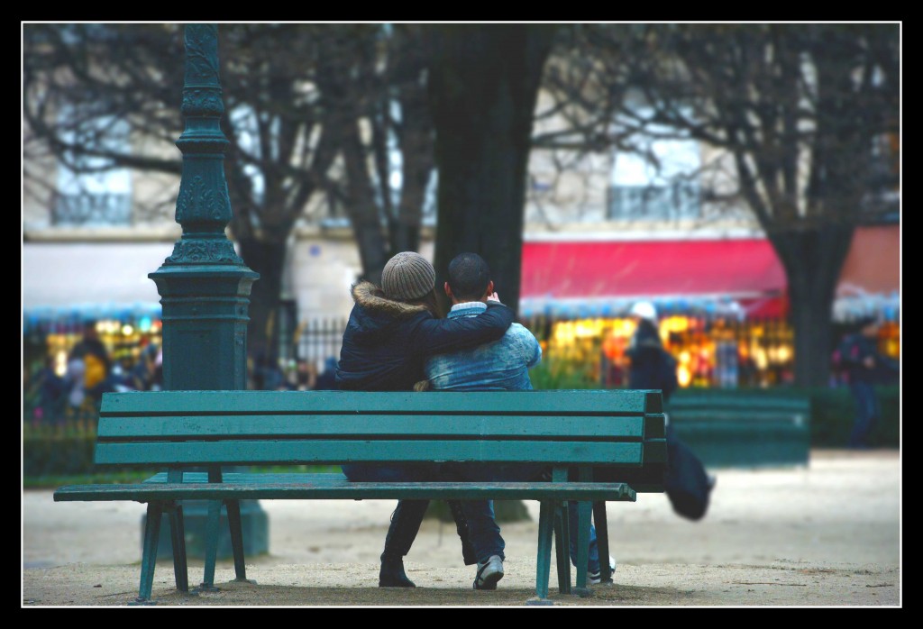 Calins jardins Notre-Dame